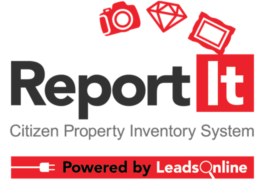 ReportitLogo