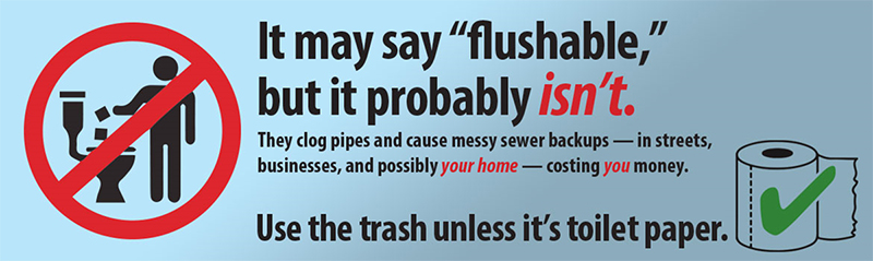 WW Do Not Flush - Flyer Image