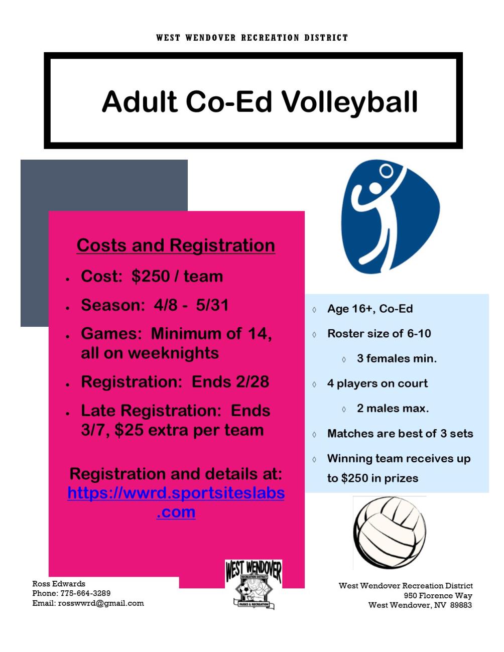 Flyer_Adult Vball 2019