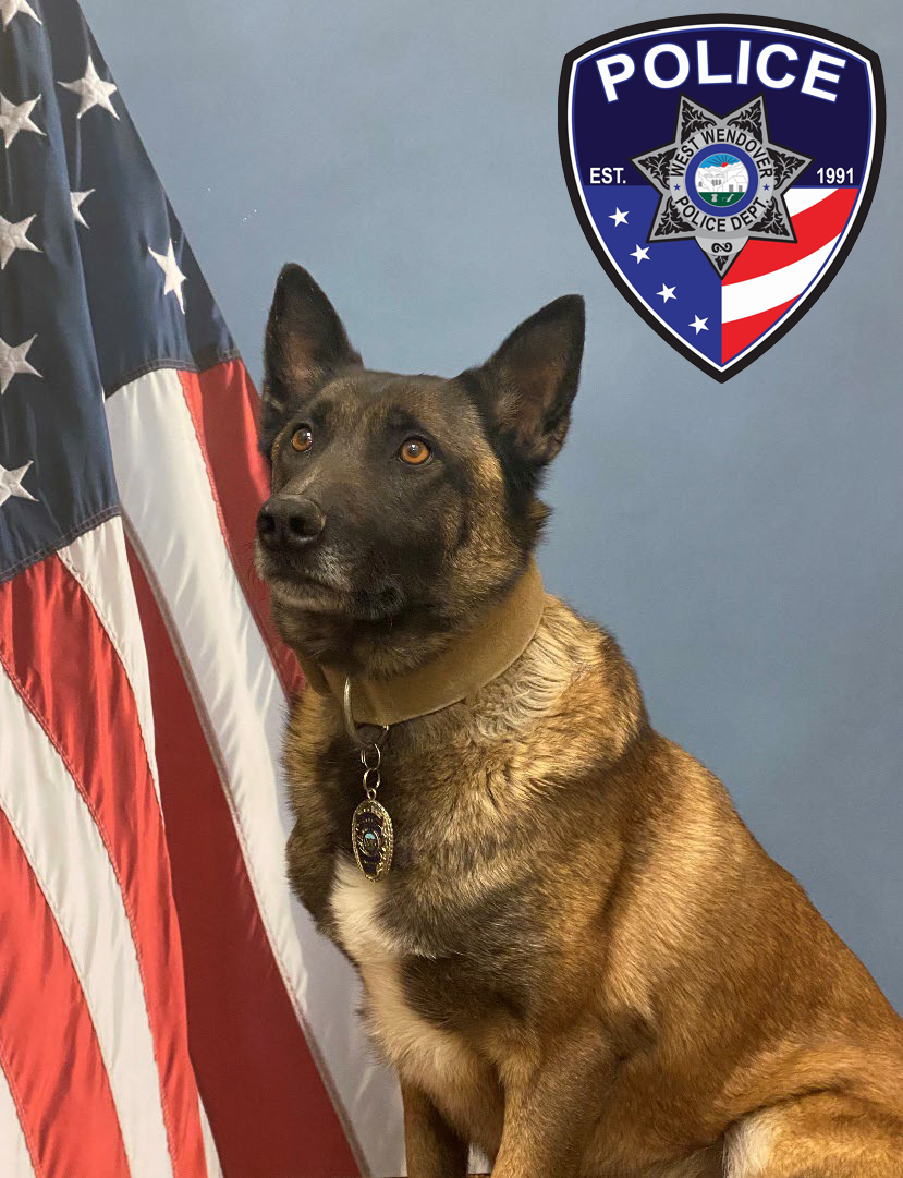 WWPD K-9 Vigo (2)